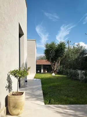 a plant in a pot next to a building at Dimora Harmonia in Carini