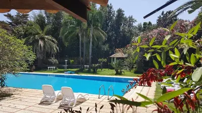 a resort with a swimming pool with chairs and trees at Villa Megna - Green Paradise B&B in Sferracavallo