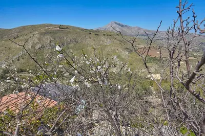 a view of a mountain with trees in the foreground at Villa del Poggio in Scopello