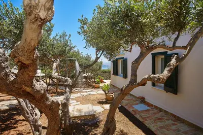 a tree in front of a house with a building at Villa Lo Zingaro - Scopello-Villas in Scopello