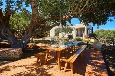 a wooden table and benches under a tree at Villa Lo Zingaro - Scopello-Villas in Scopello