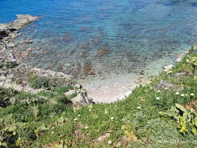 a body of water with rocks and grass and the ocean at Tramonti d'Alba in Terrasini