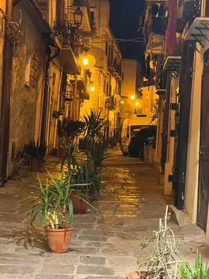 an alley with potted plants on a street at night at mastro casa vacanza in Palermo