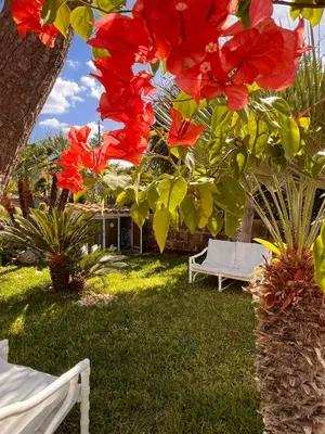a view of a yard with red flowers at Rustico San Leonardo in Cinisi