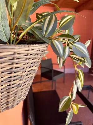 a plant in a basket on a table at Casa Vacanze Filippa in Balestrate