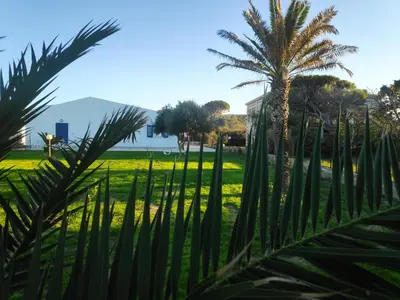 a palm tree in a park with a fence at Campofelice Holidays West Villa in Campofelice di Roccella
