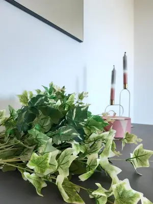 a green plant sitting on a counter next to a window at Campofelice Holidays West Villa in Campofelice di Roccella