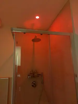 a shower in a bathroom with a red ceiling at Stefy's Home #Cattedrale in Palermo