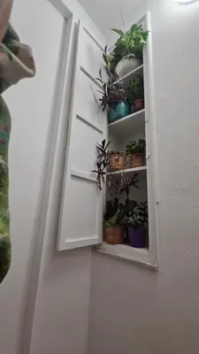 a cupboard with potted plants on a wall at Dietro Ballarò - Guest House in Palermo