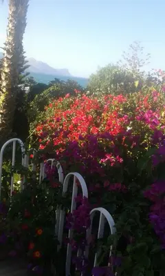 a garden with pink and purple flowers and white gates at Villa Aliotis in Alcamo Marina