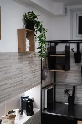 a kitchen with a plant on top of a counter at Cori ri Palermo in Palermo
