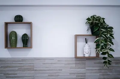 two shelves with plants on them on a wall at Cori ri Palermo in Palermo