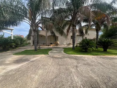 a house with palm trees and a gravel driveway at Carini house in Carini