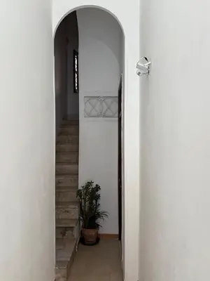 an archway leading to a hallway with a potted plant at la fervoriana in Palermo