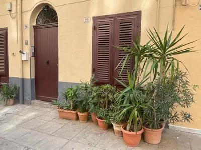 a row of potted plants in front of a building at la fervoriana in Palermo