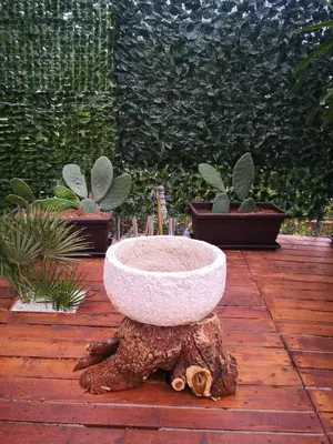 a bowl sitting on top of a tree stump with potted plants at Casa Mary in Castellammare del Golfo
