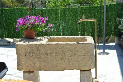 a stone sink with a pot of purple flowers at Casa Mary in Castellammare del Golfo