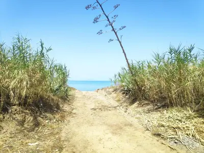 a dirt road leading to the ocean on a beach at Campofelice Holidays East Villa in Campofelice di Roccella