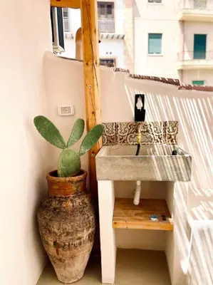 a sink and a potted plant on a balcony at Duplex Townhouse with Gigantic Terrace in Palermo