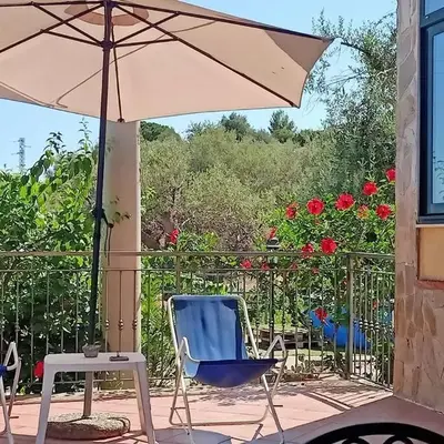 Il giardino degli ulivi