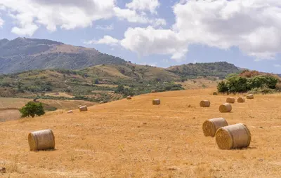 a field full of hay bales on a hill at 1 Bedroom Stunning Home In Partinico in Partinico