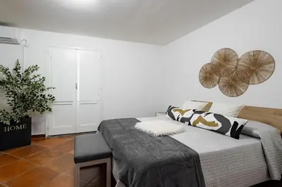 a white room with a bed and a plant at Maqueda Luxury Suite & Home in Palermo