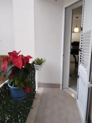 a hallway with two potted plants on a wall at Residence Spiaggia Centro - Aria Condizionata Wi-Fi&SelfCheck-In - Sole&Mare Home in Balestrate