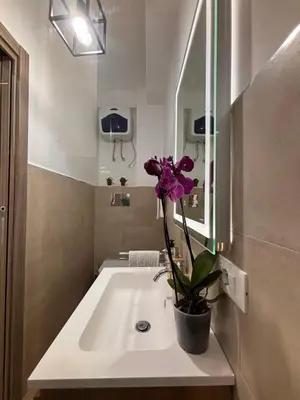 a bathroom with a white sink with a potted plant at Garzilli Cozy Apartment in Palermo