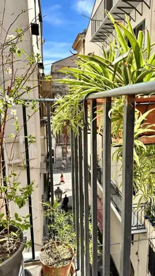 a balcony with potted plants on a city street at Fajra house in Palermo