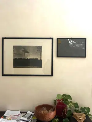 two framed pictures on a wall with a plant on a table at Fajra house in Palermo