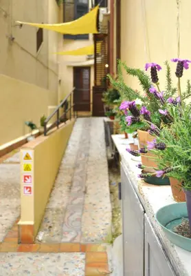 a hallway with potted plants and flowers on a building at Soste Normanne in Palermo