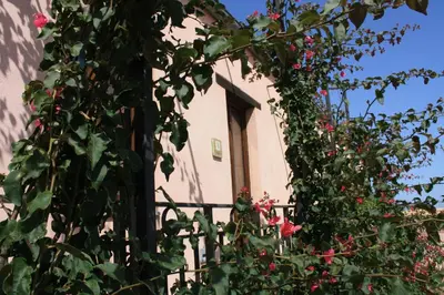 a window of a house with flowers in front of it at Agriturismo Case Tabarani in Collesano