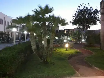 a palm tree on the side of a street at night at Residence Le Perle Beach in San Vito lo Capo