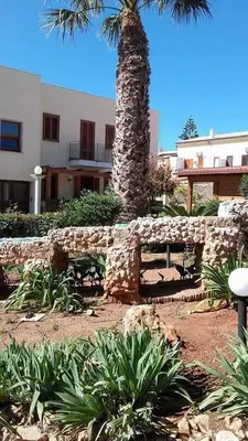 a palm tree and a bench in front of a building at Residence Le Perle Beach in San Vito lo Capo