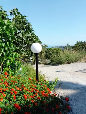 a street light in a garden with red flowers at Holiday home 8 guests Granatelli in Altavilla Milicia