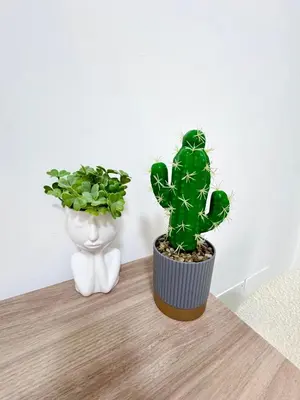 two potted plants sitting on a wooden table at Tra i Vicoli del Capo in Palermo
