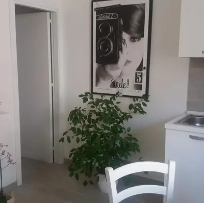 a picture of a woman with a camera and a plant at Appartamento Cantieri-Porto,Palermo in Palermo