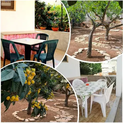 a collage of photos with a table and a tree at casa vacanza san vito lo capo in San Vito lo Capo
