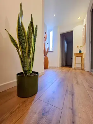 a potted plant sitting on the floor of a room at MAGGESE Dimora di Charme in Palermo