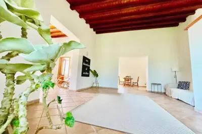 a living room with a couch and a plant at History and Art Casa Bellacera in Casteldaccia