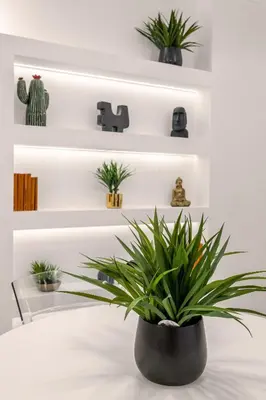 a plant on a white shelf with plants at Appartamento Amari 148 in Palermo