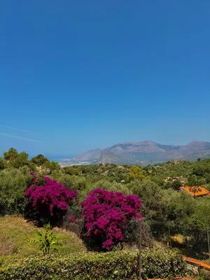 a view of a field with pink flowers and trees at Villa Falco in Carini