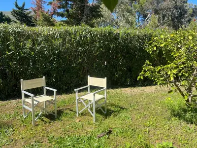 two chairs sitting in the grass in front of a hedge at Villa Bianca by Sicily Travelling Villas in Castellammare del Golfo