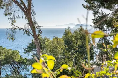 a view of the ocean through the trees at Villa con accesso al mare e vista mozzafiato in Palermo