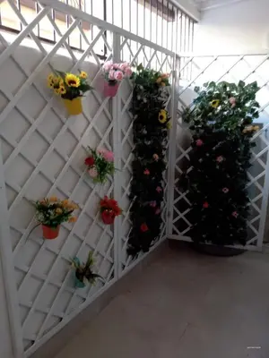 a white wall with potted plants on it at Dolce casa in Palermo