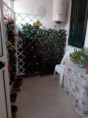 a green wall with flowers and a white chair at Dolce casa in Palermo