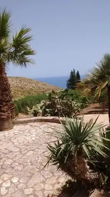 a patio with palm trees and a view of the ocean at Monolocale Casa Maria in San Vito lo Capo