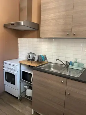 a kitchen with a sink and a stove at Leon in Palermo