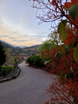 an empty road with trees on the side of it at Albergo BELVEDERE in Santa Cristina Gela