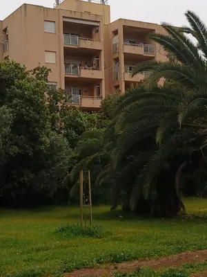 an apartment building with a palm tree in the foreground at Maison Du Parc in Palermo